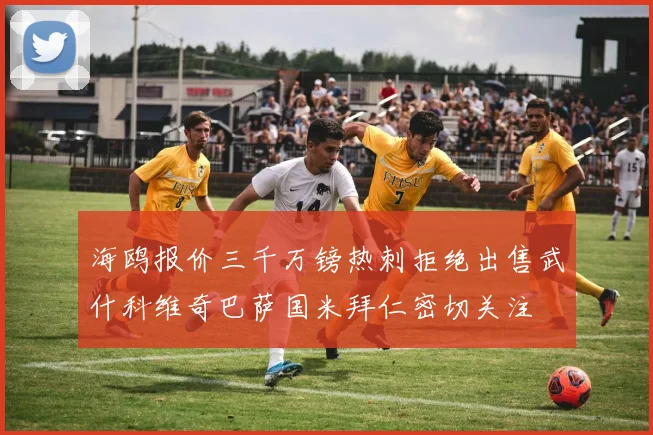 海鸥报价三千万镑热刺拒绝出售武什科维奇巴萨国米拜仁密切关注
